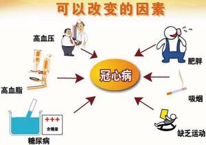巧用蜂蜜辅助治疗冠心病